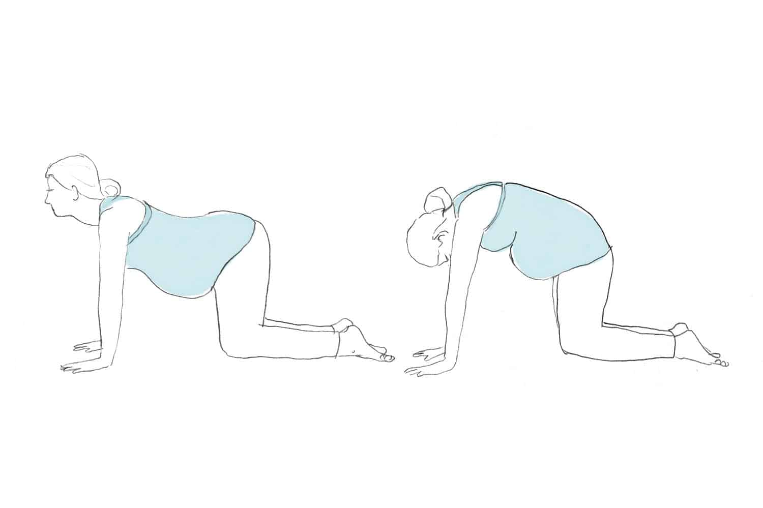 Illustrated by Alessandra Olanow