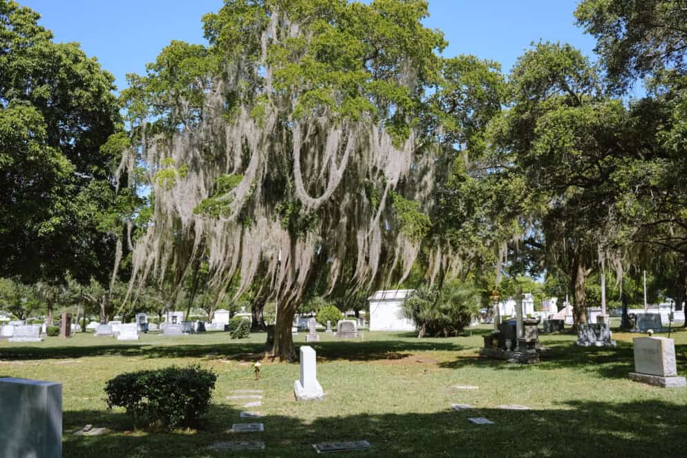 A Eulogy for the Bumbling Dad